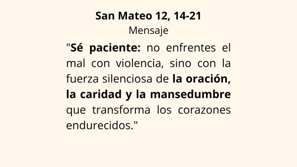 Evangelio San Mateo 12, 14-21