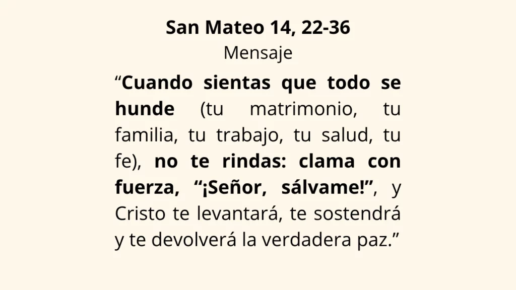 Evangelio Mateo 14, 22-36
